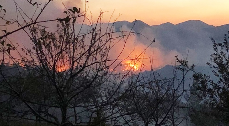 800 ev tahliye edildi, 200 hektardan fazla ormanlık alan kül oldu