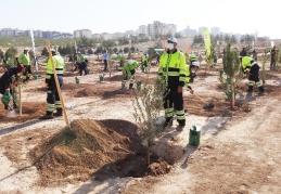 94 bin metrekareye 5 bin 922 fidan dikildi