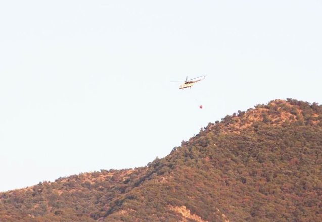 98 orman yangınından 88’i kontrol altına alındı, 10 yangın sürüyor