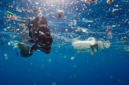 AB Komisyonu, plastik atıkları azaltmak için yol haritası açıklayacak 