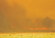 AB Türkiye Delegasyonu: Avrupa Birliği Türkiye’nin acısını paylaşıyor