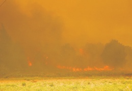AB Türkiye Delegasyonu: Avrupa Birliği Türkiye’nin acısını paylaşıyor