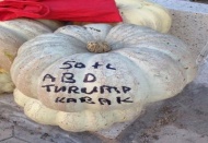 “ABD Trump Kabak 50 TL”