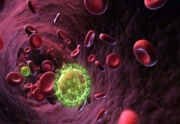 ABD’li profesör AIDS'e virüsüne çare buldu