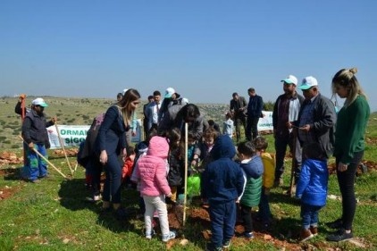 &#8216;Adalet Ormanı&#8217; oluşturuldu