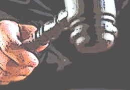 Adli yıl başlıyor