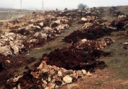 Ağaçlandırma çalışması yapıldı 