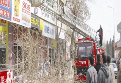 Ağaçlar budanıyor