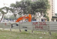 Ağaçların gövdesinden demokrasi arar hale geldik