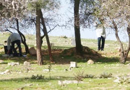 Ağaçlık alanda sır ölüm