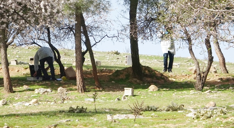 Ağaçlık alanda sır ölüm