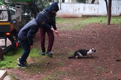 Ağaçta mahsur kalan kedi kurtarıldı
