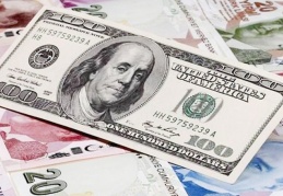 Ağustos'ta dolar karşısında en çok TL değer kaybetti