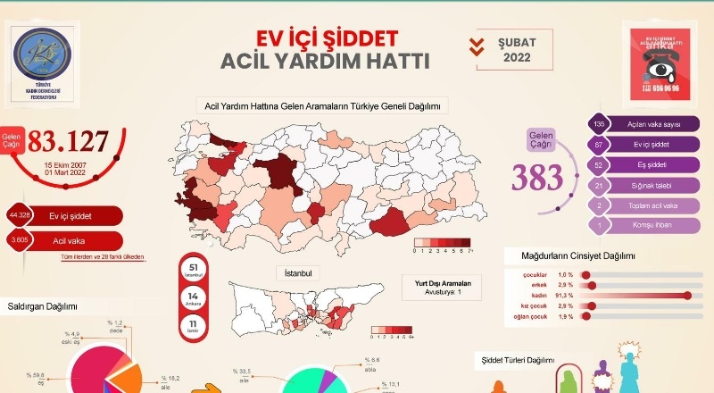 Aile içi şiddet, yüzde 59,8 oranında eşler tarafından uygulanıyor