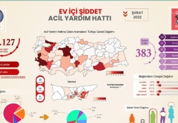 Aile içi şiddet, yüzde 59,8 oranında eşler tarafından uygulanıyor