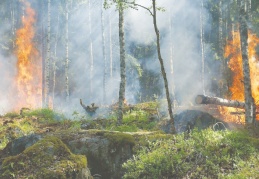 Akdeniz ülkelerinden yangınlara karşı Atina Deklarasyonu
