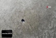 Akgöl, sıcaklık ve kuraklıktan kurudu