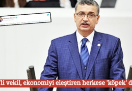 AKP'li vekil, ekonomiyi eleştiren herkese 'köpek' dedi