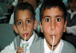 AKP’nin okullarda süt dağıtma işi palavra çıktı