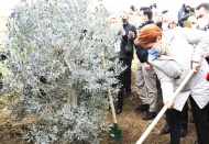 Akşener, sağlık çalışanları için fidan dikti