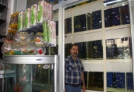 Akvaryum balığı satışları da yüzde 70 geriledi
