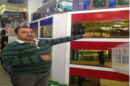 Akvaryumu alın stresinizi atın 