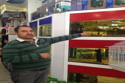 Akvaryumu alın stresinizi atın 