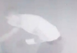 Alçılı kolla hırsızlık yaptı