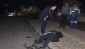 Alkolü aldı, kaldırımda sızdı kaldı