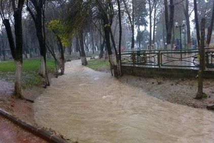 Alleben Deresi çöp yuvası haline geldi