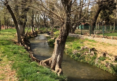 Alleben suya kavuştu