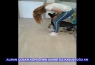 Alman çoban köpeğini çaldı