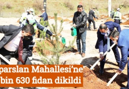 Alparslan Mahallesi’ne 4 bin 630 fidan dikildi