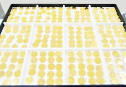 Altın, haftaya yükselişle başladı