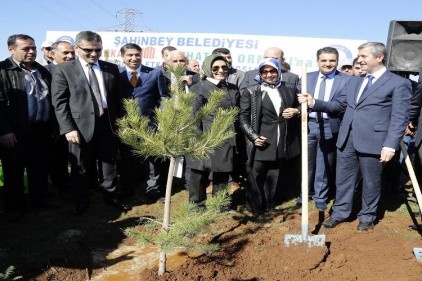 Amaç, daha fazla yeşil alan
