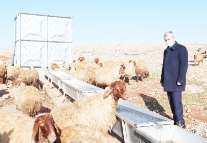 Amacımız, desteklerle hayvancılığı geliştirmek