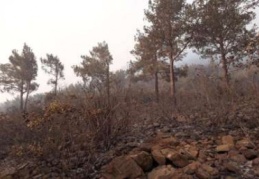 Amanoslar’daki yangında soğutma çalışmaları sürüyor 