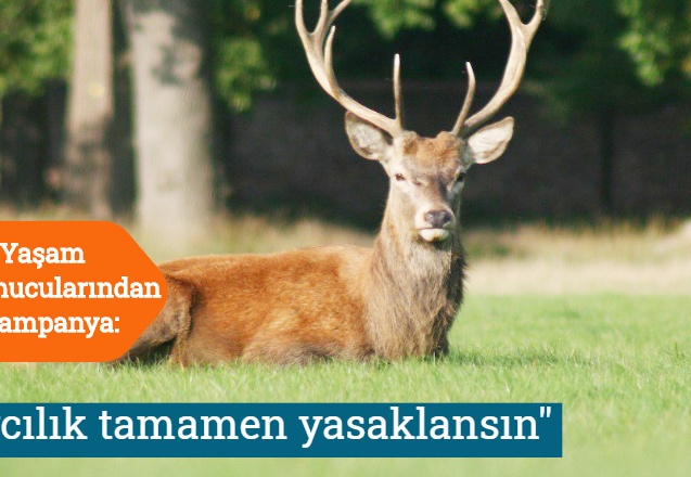 "Avcılık tamamen yasaklansın"