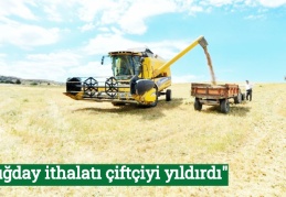 "Buğday ithalatı çiftçiyi yıldırdı"