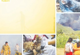 "Ekolojik kaygıyı da bırakın, ekolojik yas tutuyoruz"