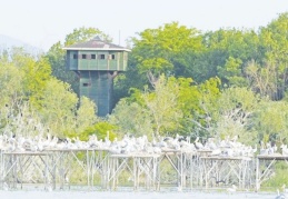 "Kaybedecek zaman yok, kritik eşikteyiz"