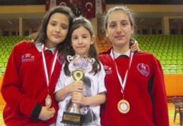 Anadolu Yıldızlar Ligi karate müsabakaları yapıldı