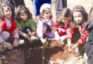 Anaokulu öğrencileri fidan dikti