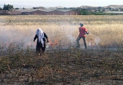 Anız Yakan Geleceğini Yakar 