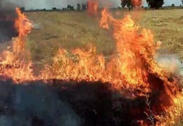 Anız yakanlar dekar başına 60 lira ceza ödeyecek