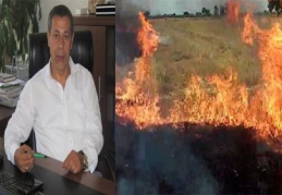 Anız yakıldığında doğanın dengesi bozulur