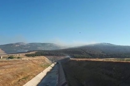 Anız yangını ormana sıçradı