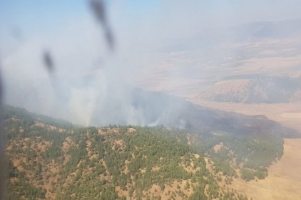 Anız yangınında 2 hektarlık ormanlık alan kül oldu