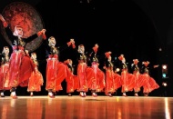 Ankara Halk Oyunları ekibi Macaristan'a iltica etti 