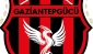 Ankasspor, isim, renk ve logo değiştirdi